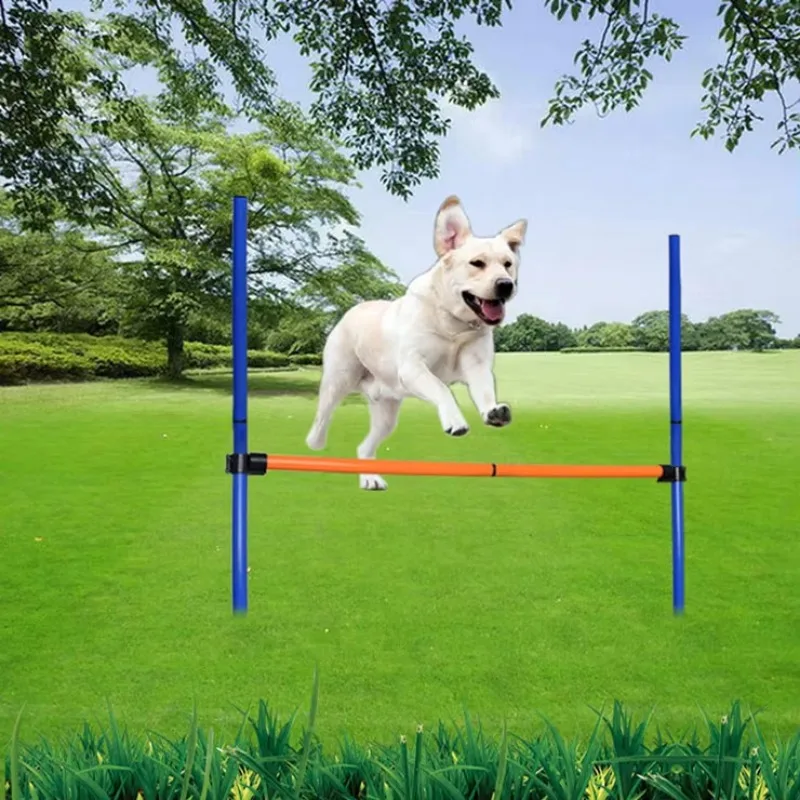 犬のための敏捷性トレーニング機器,ジャンプ,ハードルバー,ゲ - Agility Hurdle Set のレビューと価格