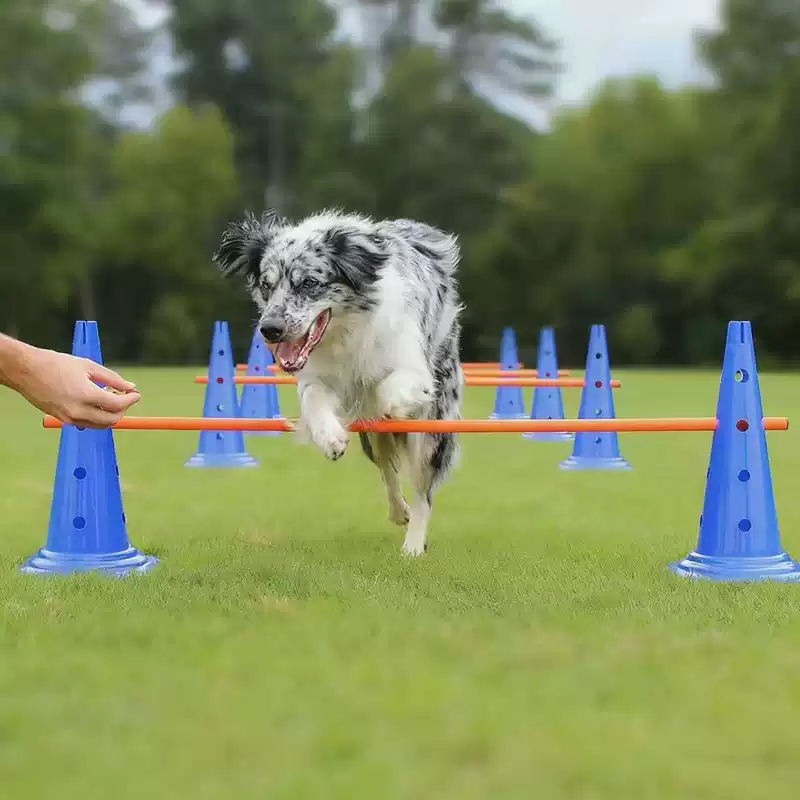 30CM犬用アジリティ障害物セット、ジャンプハードル、コーン - Agility Hurdle Set のレビューと価格