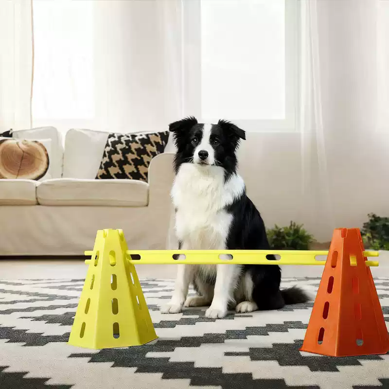 30CM犬用アジリティ障害物セット、ジャンプハードル、コーン - Agility Hurdle Set のレビューと価格