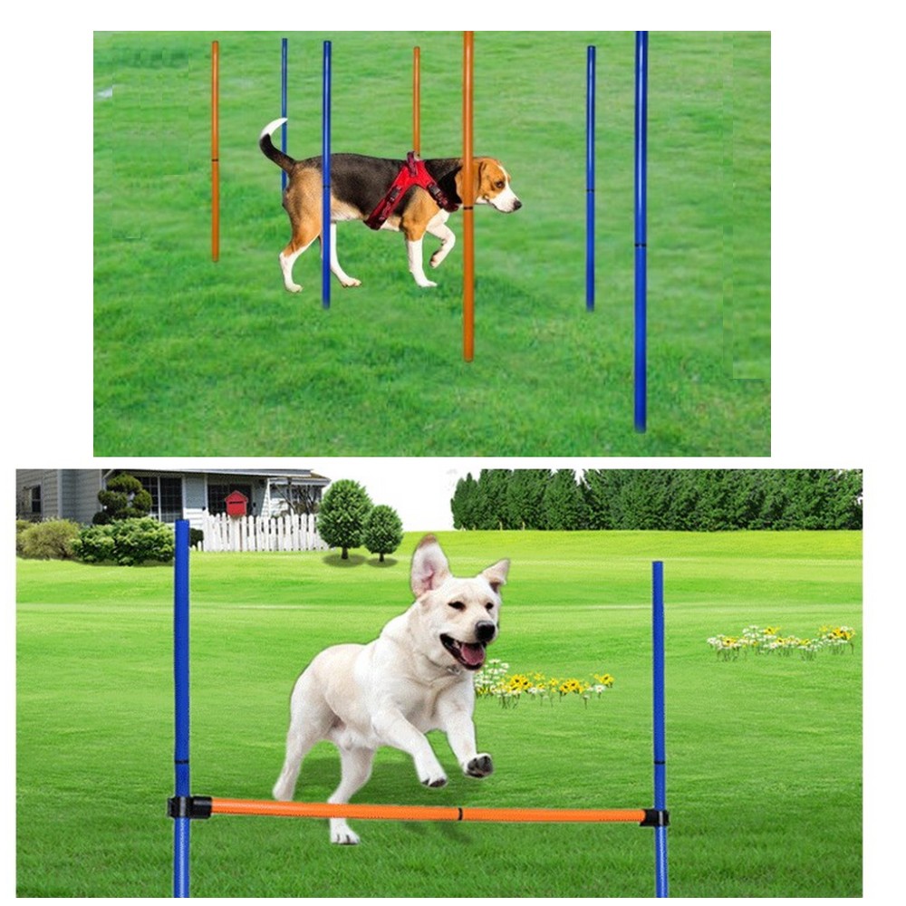 ペットの犬、敏捷性ロッド、ジャンプ、ハードルの実行、トンネル - Agility Hurdle Set のレビューと価格