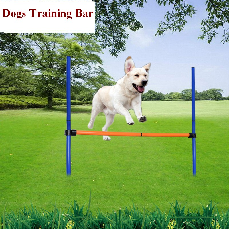 ペットの犬、敏捷性ロッド、ジャンプ、ハードルの実行、トンネル - Agility Hurdle Set のレビューと価格
