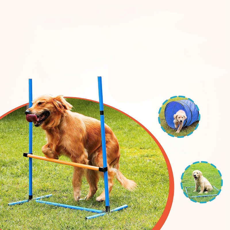 アマゾン犬訓練器具 犬用障害物トレーニング ハードルジャンプ - Agility Hurdle Set のレビューと価格