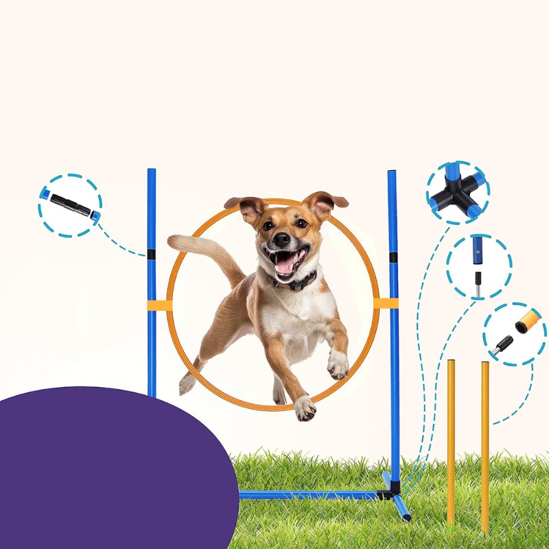 アマゾン犬訓練器具 犬用障害物トレーニング ハードルジャンプ - Agility Hurdle Set のレビューと価格