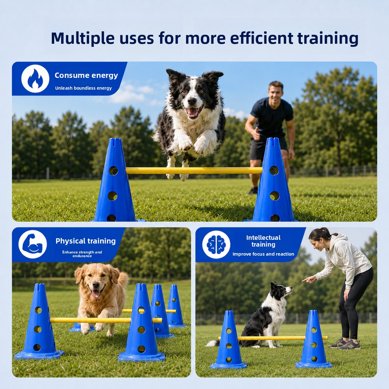 ZHAYA犬用アジリティトレーニングセット、調節可能なハード - Agility Hurdle Set のレビューと価格